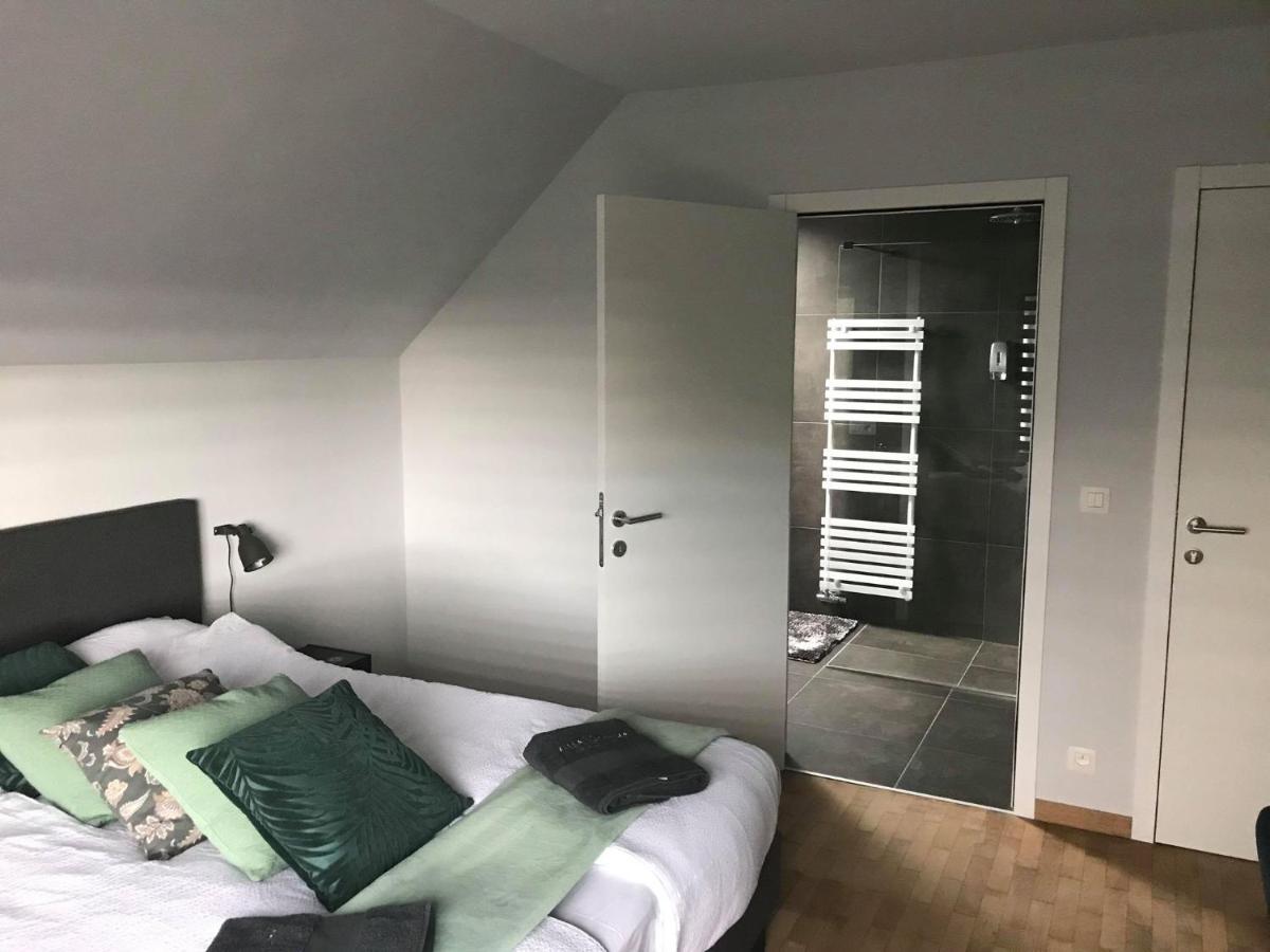 Villa Cecha B&B &Wellness Ostende Kültér fotó